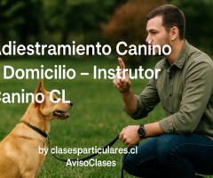 🐶 Adiestramiento Canino a Domicilio – Instructor Canino CL